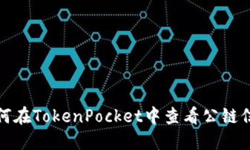 如何在TokenPocket中查看公链信息