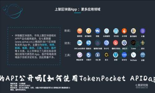 TokenPocket的API公开吗？如何使用TokenPocket APIDapp的用户体验？