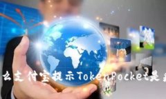 为什么支付宝提示TokenPo