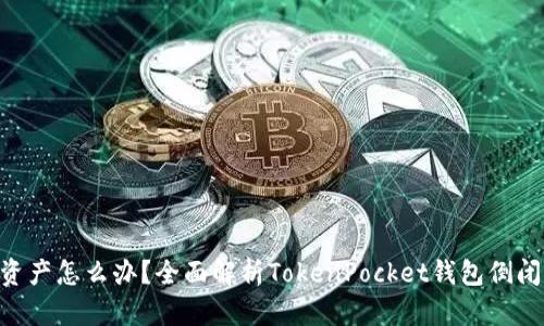 TokenPocket倒闭资产怎么办？全面解析TokenPocket钱包倒闭预防与应对三步法