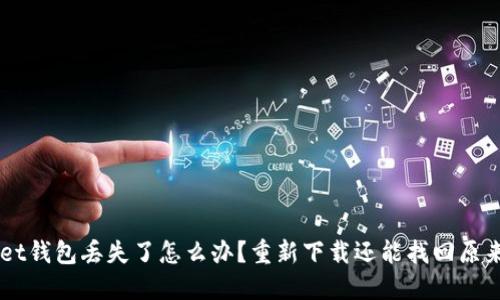 TokenPocket钱包丢失了怎么办？重新下载还能找回原来的账号吗？