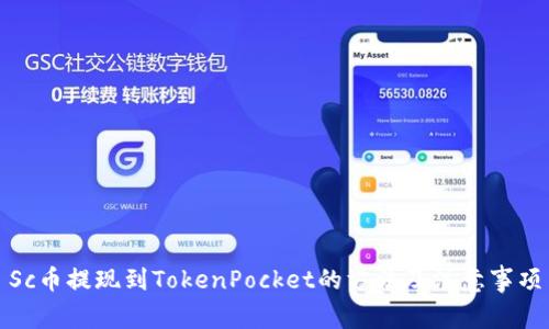 Sc币提现到TokenPocket的方法及注意事项