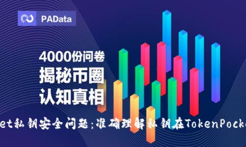 TokenPocket私钥安全问题：准确理解私钥在TokenPocket中的作用