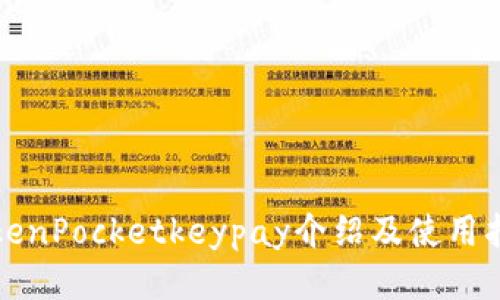 TokenPocketkeypay介绍及使用指南