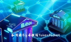 如何将Big币提到TokenPocke