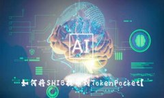 如何将SHIB提币到TokenPock