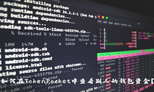 如何在TokenPocket中查看别人的钱包资金？