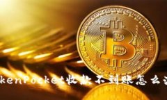 TokenPocket收款不到账怎么办