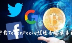 安卓手机可否下载TokenPo