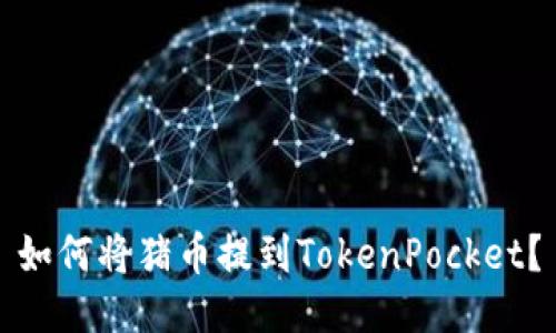 如何将猪币提到TokenPocket？