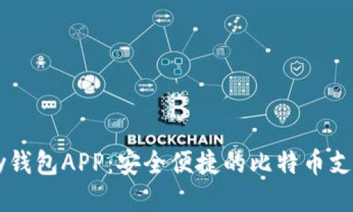 BitPay钱包APP：安全便捷的比特币支付工具