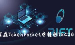 如何在TokenPocket中转移TR