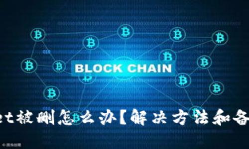 TokenPocket被删怎么办？解决方法和备用钱包推荐