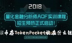 Fil币存TokenPocket放在什么链