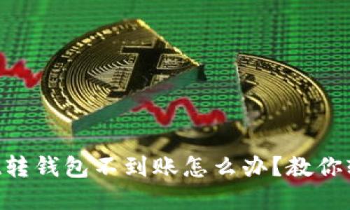 TokenPocket转钱包不到账怎么办？教你轻松解决问题