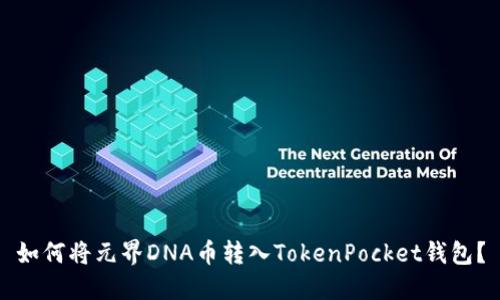 如何将元界DNA币转入TokenPocket钱包？