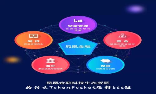 为什么TokenPocket选择bsc链