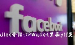 TPWallet介绍：TPWallet里面