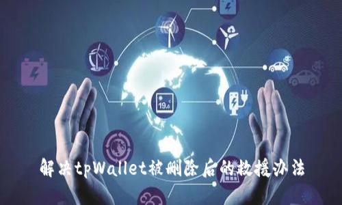 解决tpWallet被删除后的救援办法