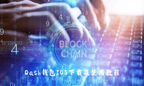 Dash钱包IOS下载及使用教程