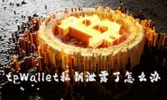 tpWallet私钥泄露了怎么办