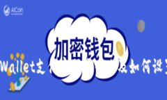 tpWallet支付密码是什么及如