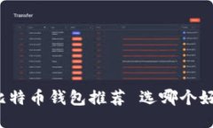比特币钱包推荐 选哪个好