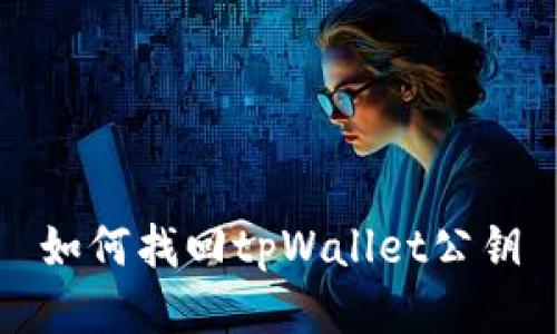 如何找回tpWallet公钥