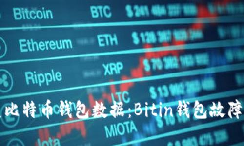 如何恢复比特币钱包数据：Bitin钱包故障排除指南