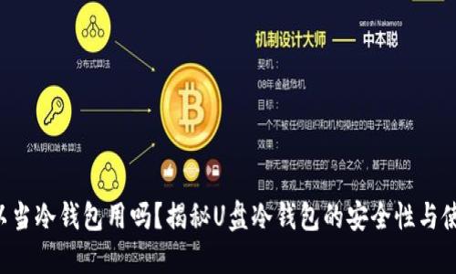 U盘可以当冷钱包用吗?揭秘U盘冷钱包的安全性与使用技巧