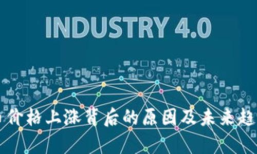 五行币价格上涨背后的原因及未来趋势分析