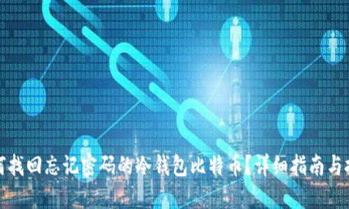 如何找回忘记密码的冷钱包比特币?详细指南与技巧