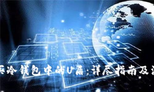 如何购买冷钱包中的U盾:详尽指南及注意事项