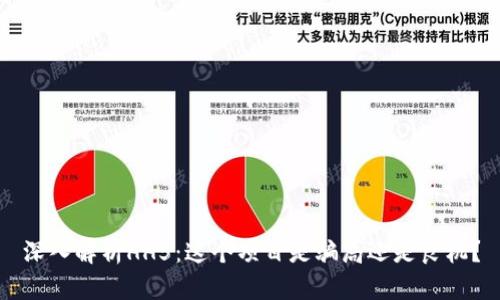 深入解析HH5：这个项目是骗局还是良机？