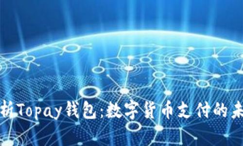 全面解析Topay钱包:数字货币支付的未来趋势